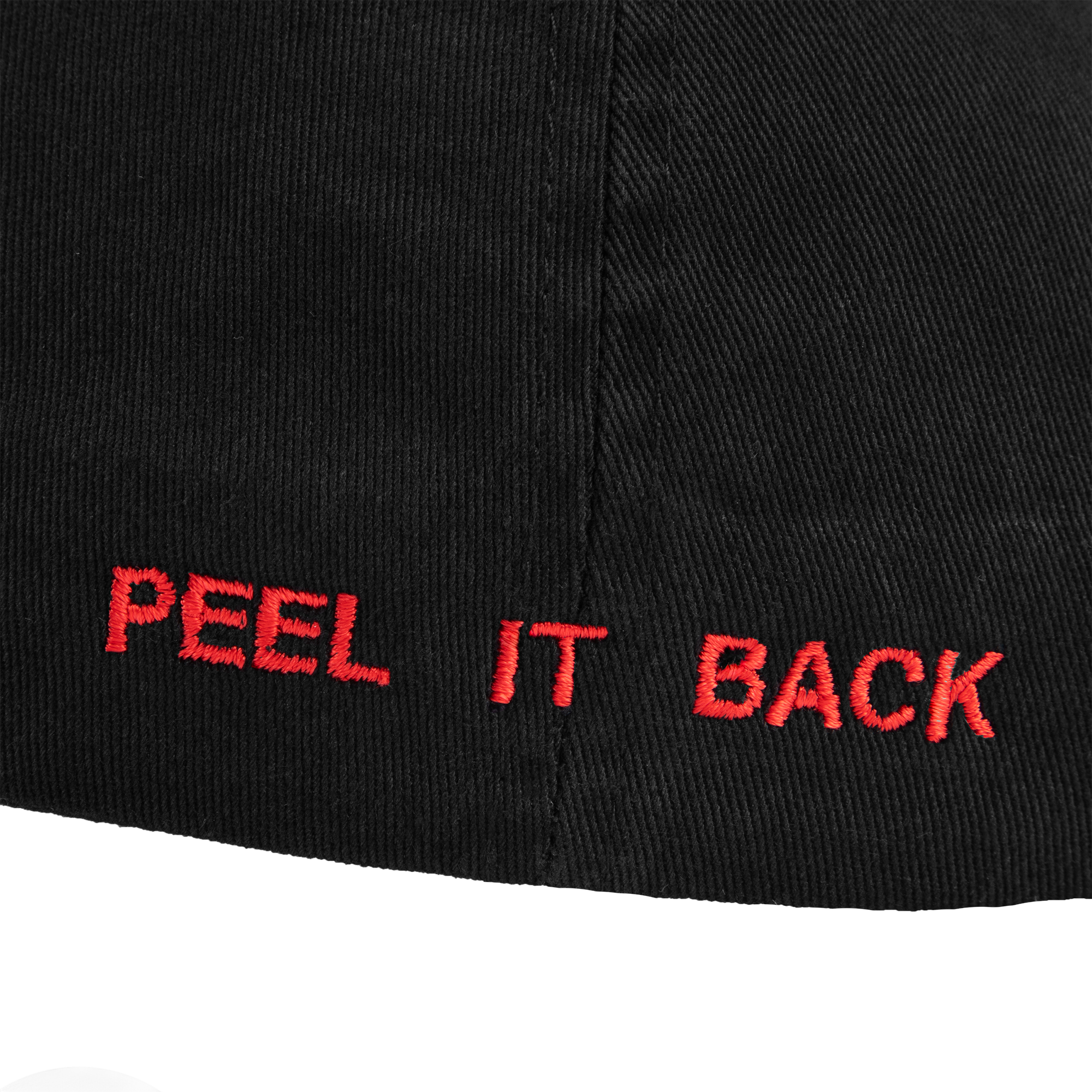 PEEL IT BACK 2025 DAD HAT I