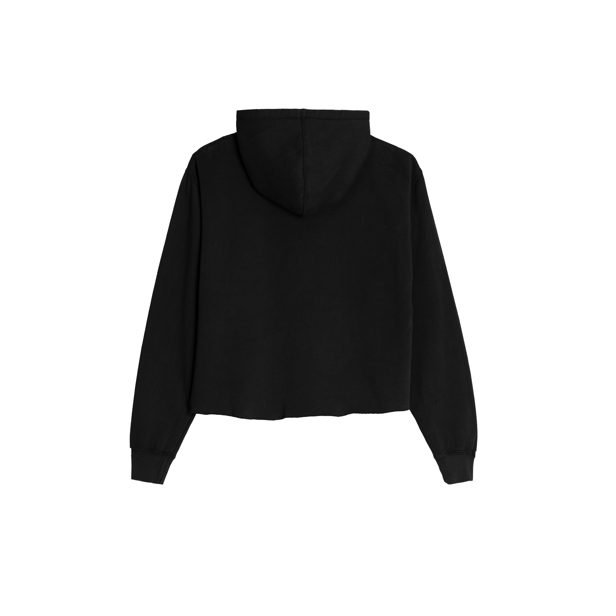 PEEL IT BACK 2026 I KNOW YOU CAN FEEL IT CROPPED HOODIE