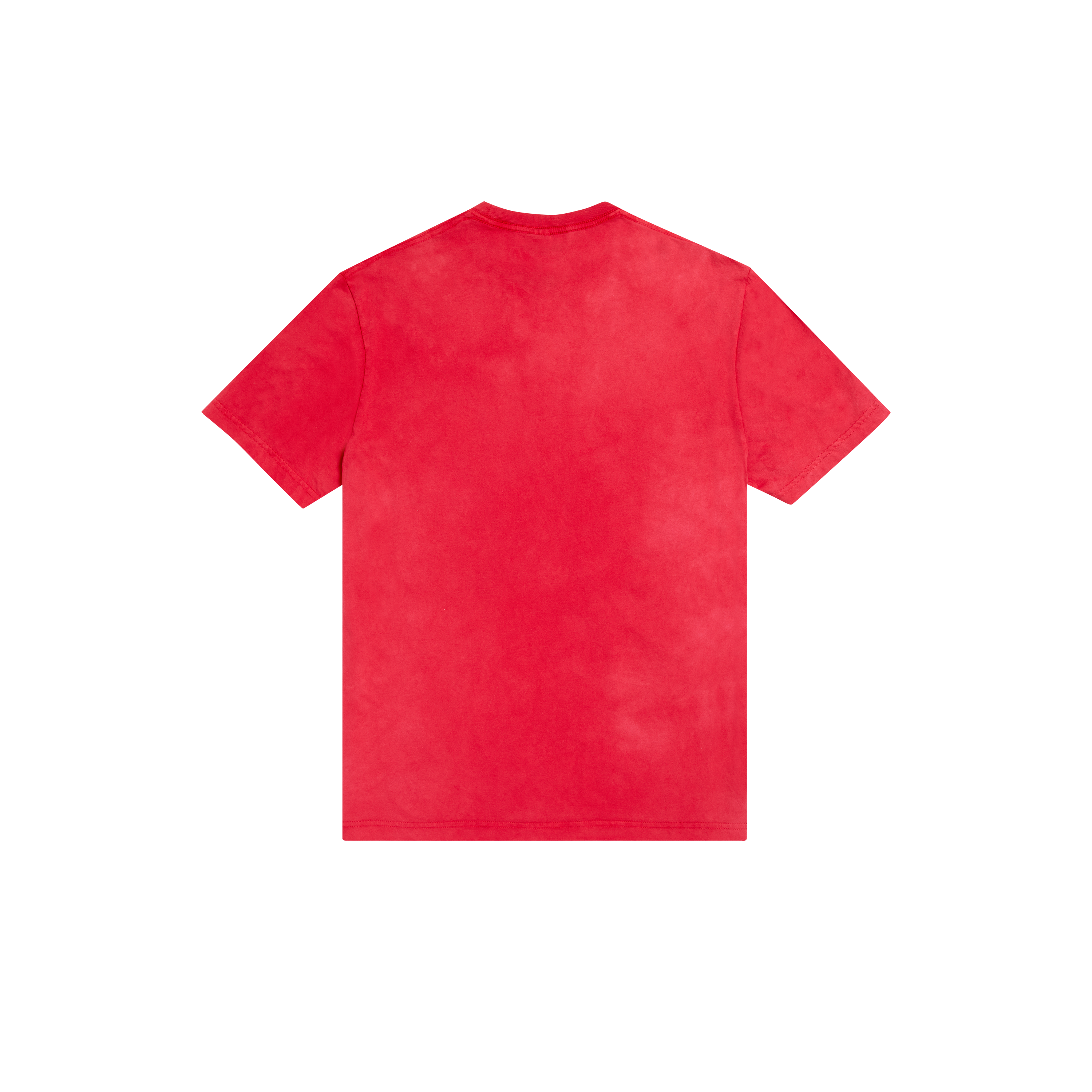 PEEL IT BACK 2026 WASHED RED TEE