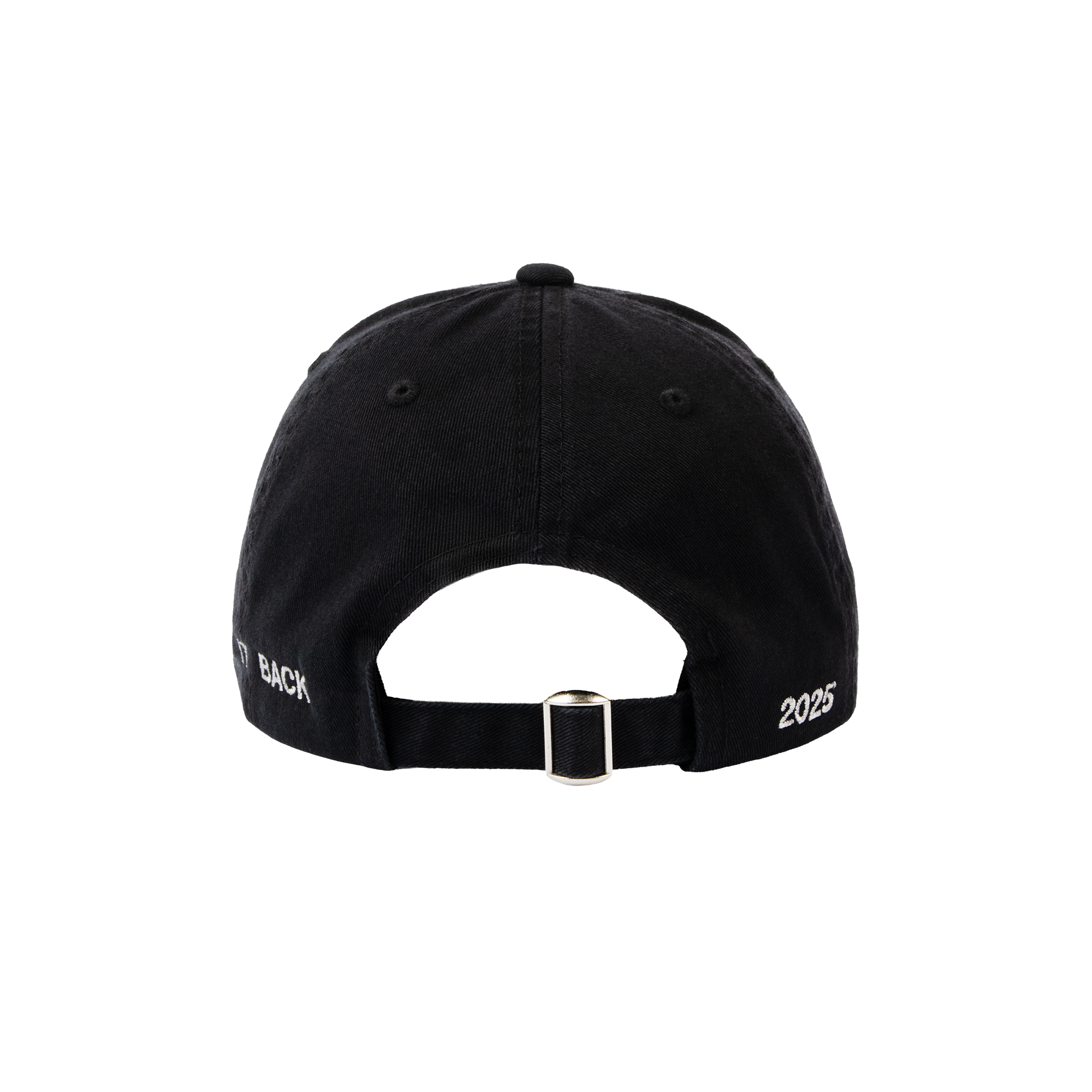 PEEL IT BACK 2025 DAD HAT II