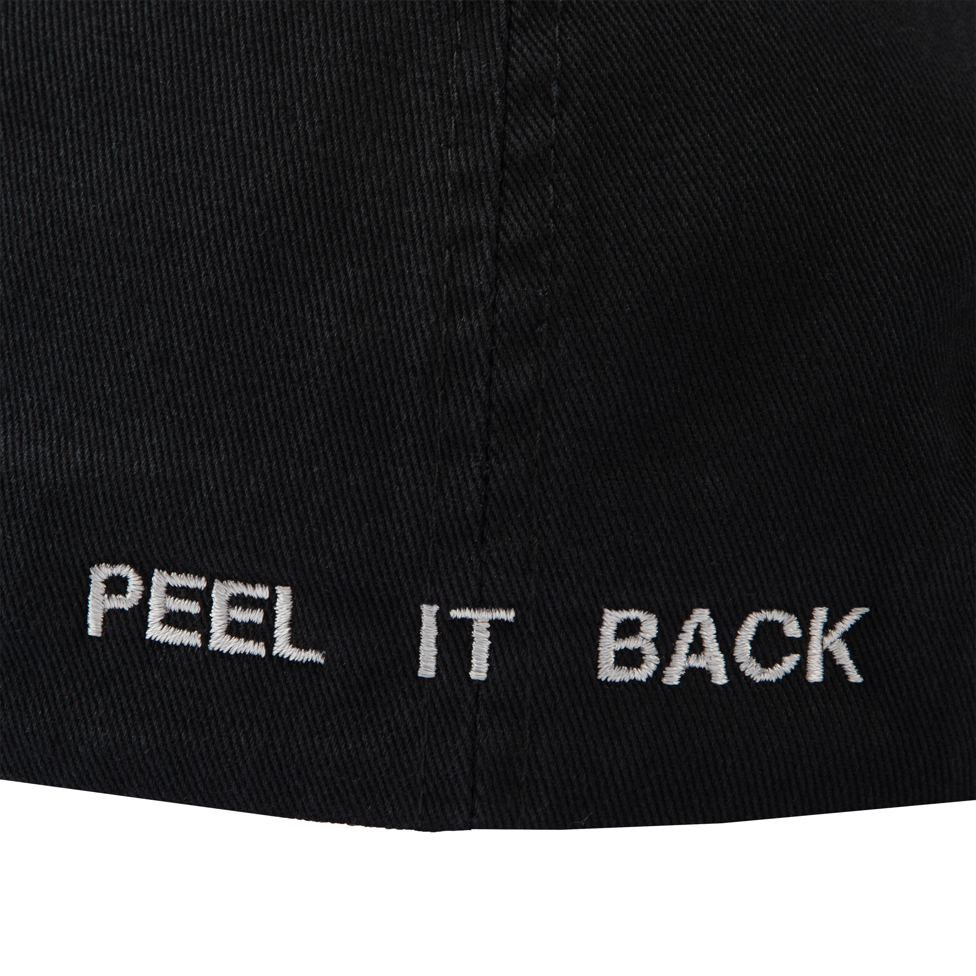 PEEL IT BACK 2025 DAD HAT II